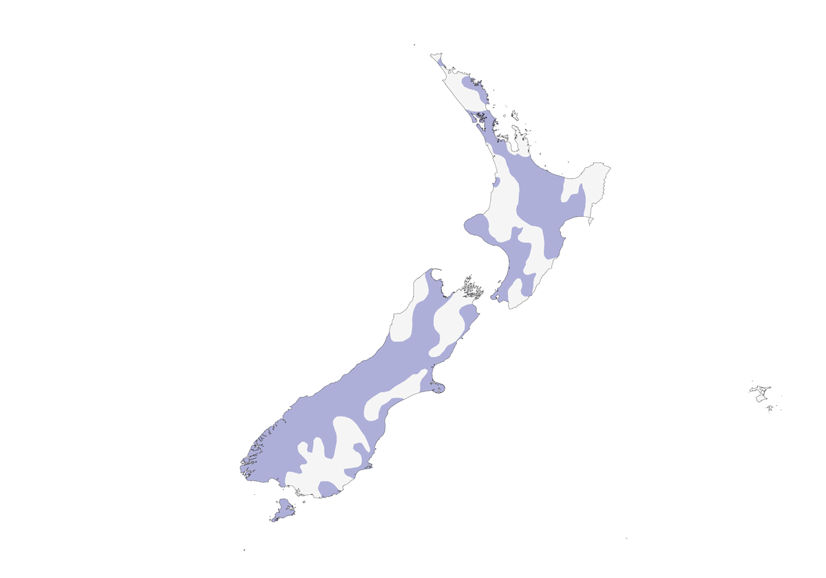 New Zealand Scaup, Distribution 1