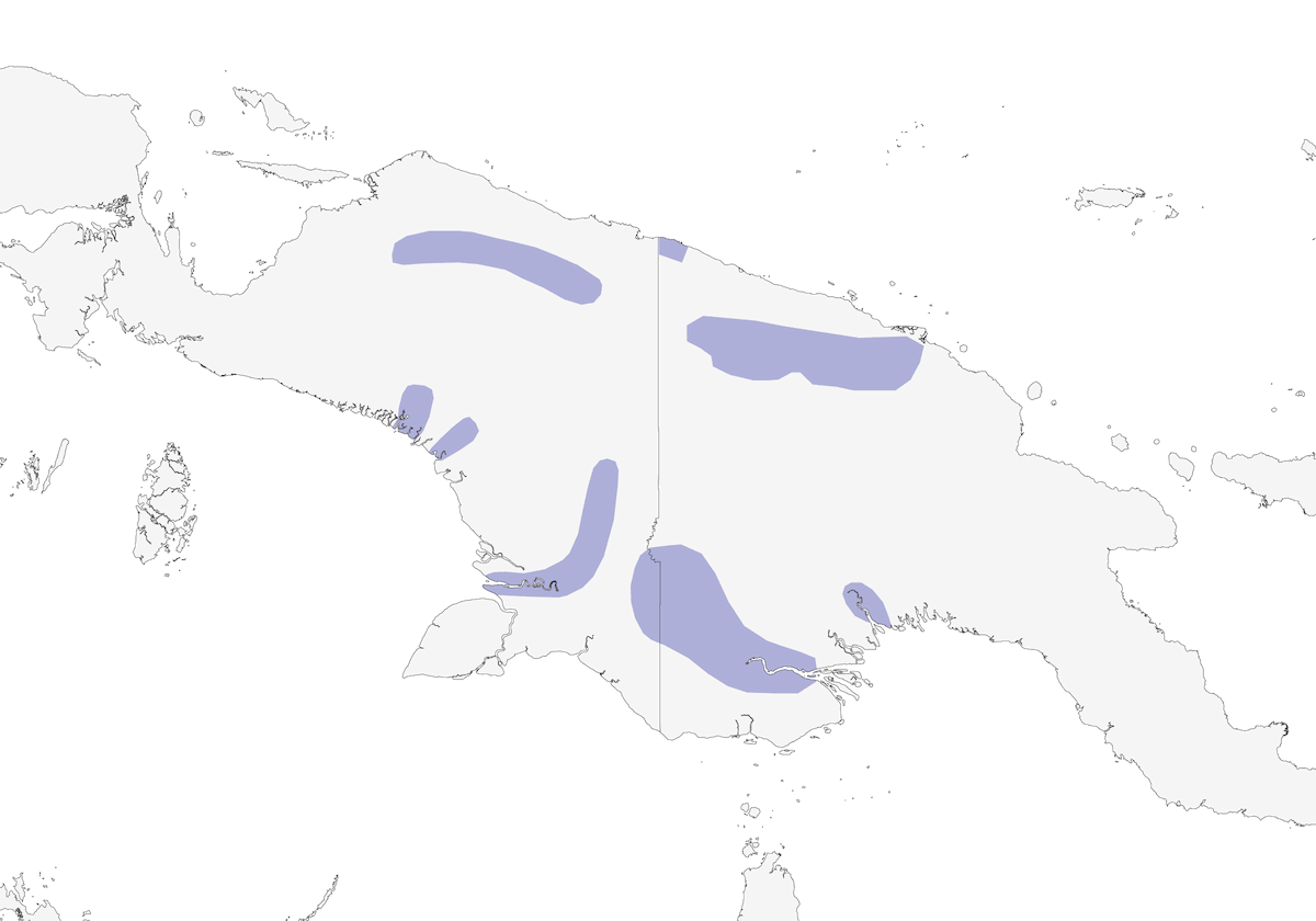 Râle aptère de Nouvelle-Guinée, Distribution 1