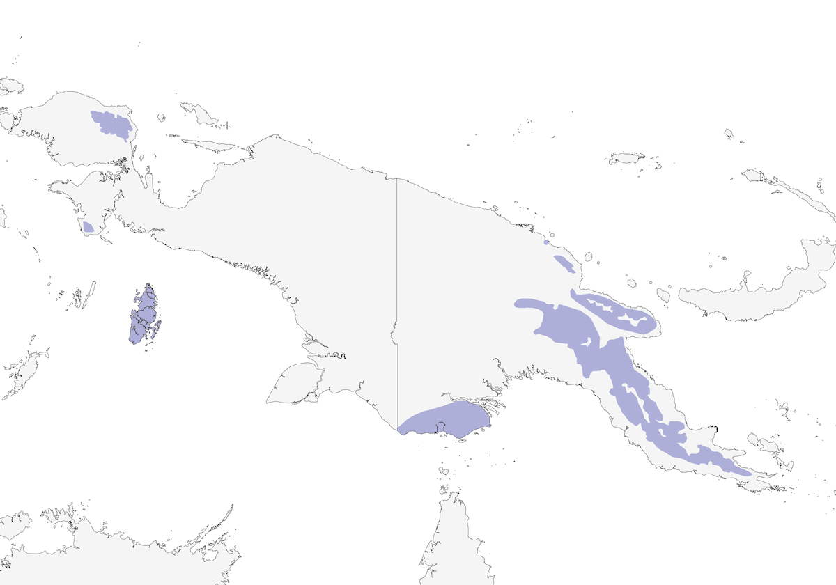Anteojitos de Nueva Guinea, Distribución 1