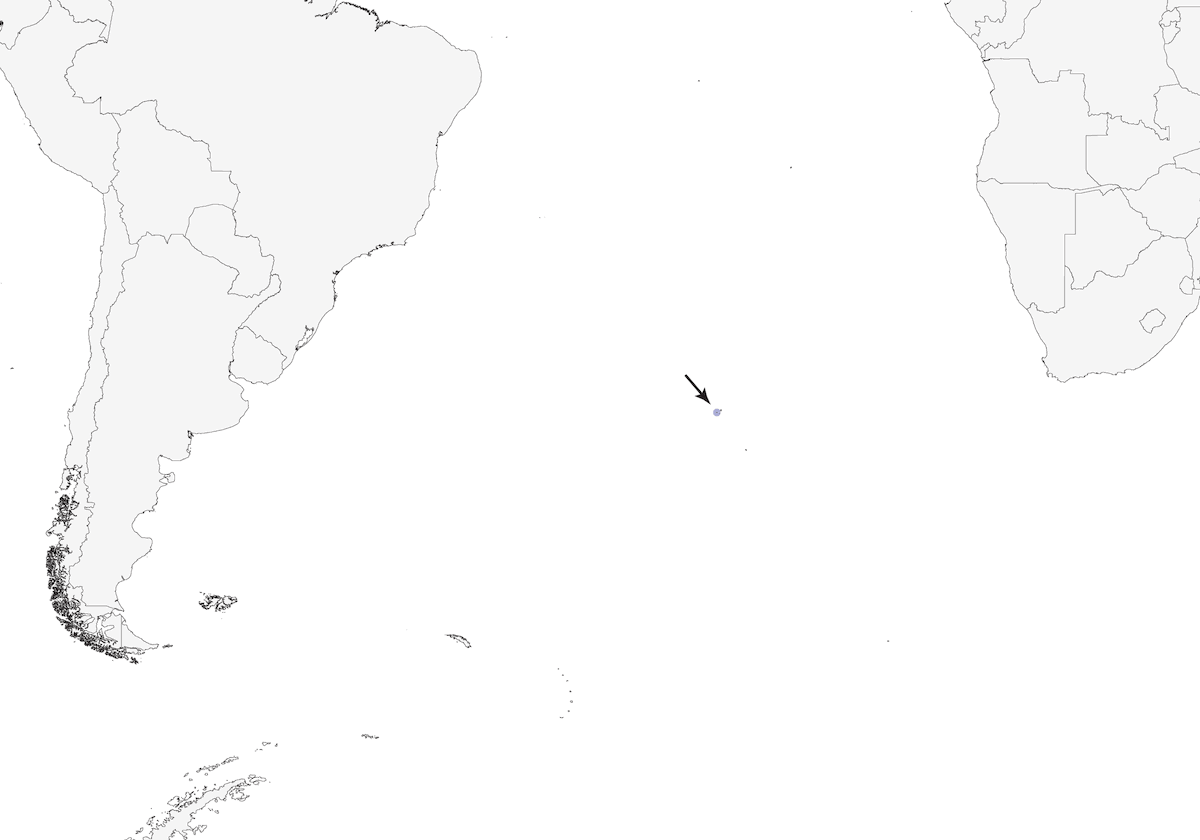 Inaccessible Island Finch, 分布 1
