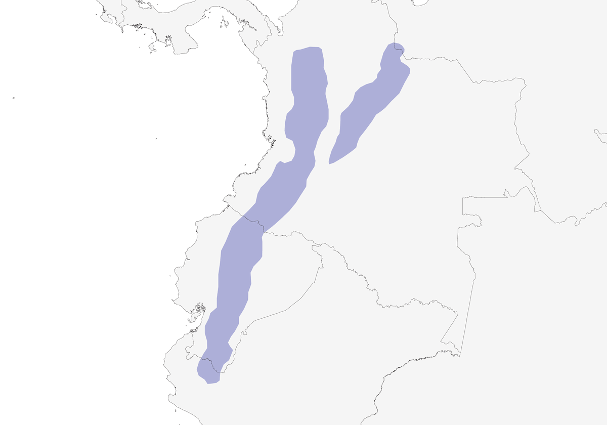 Beccaccino nobile, Distribuzione 1