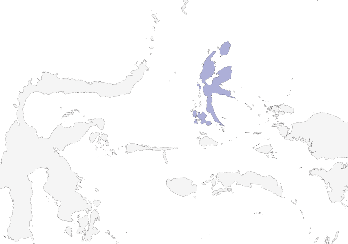 Cicadabird de las Molucas del Norte, Distribución 1
