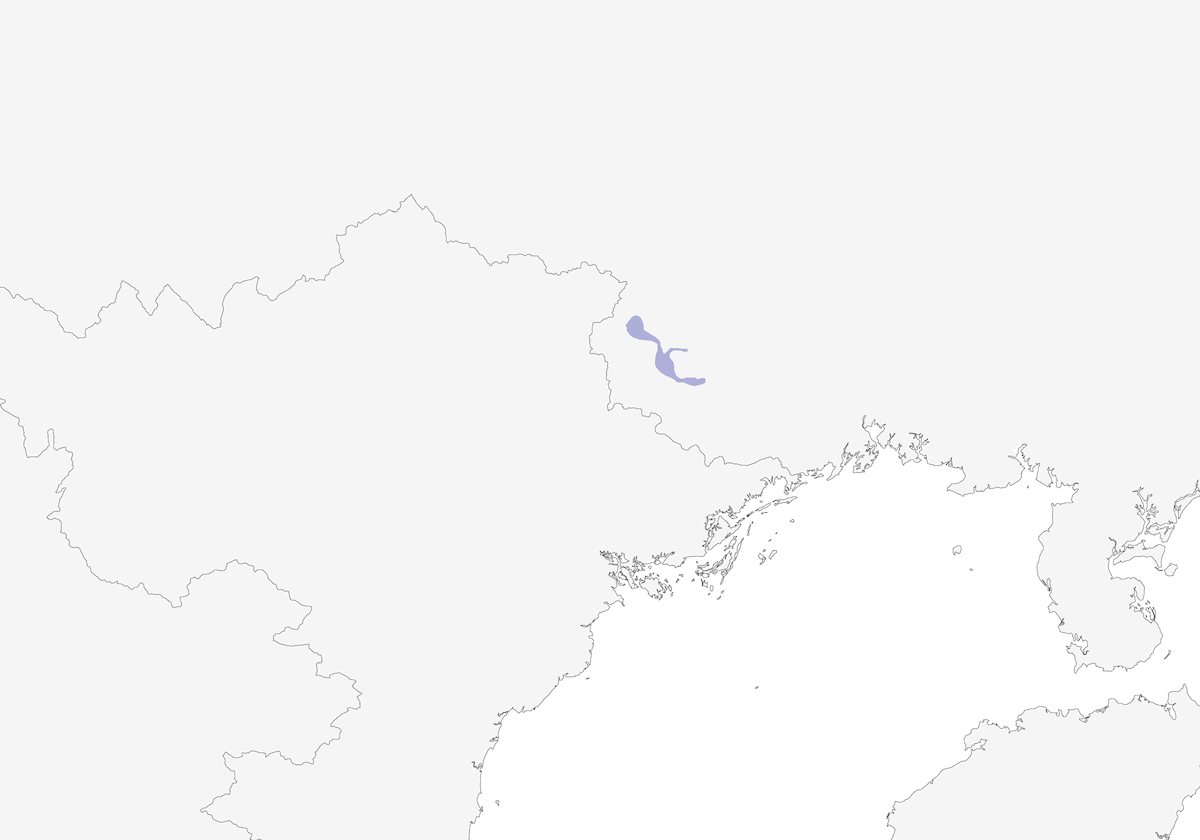 Nonggang Babbler, Distribution 1