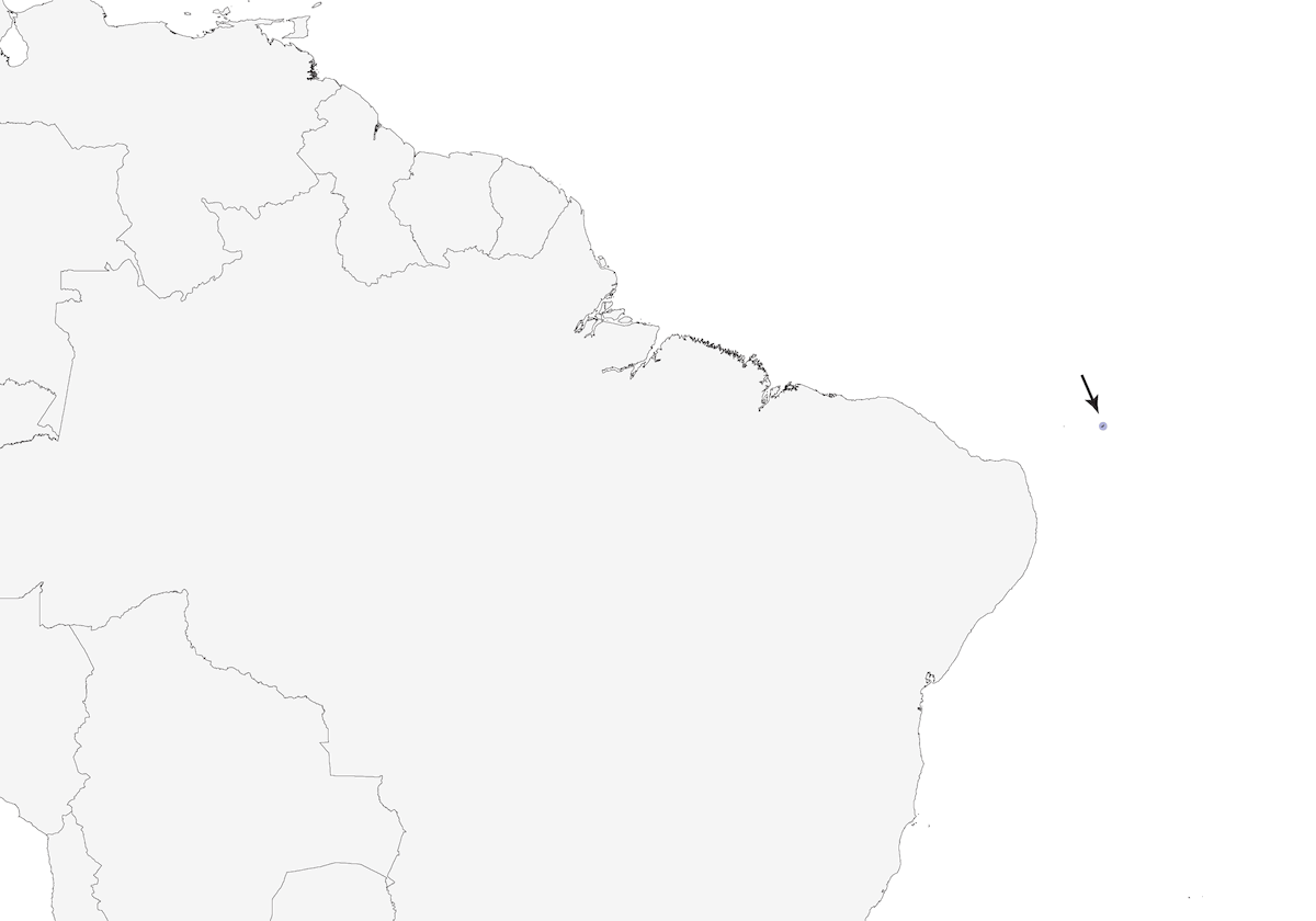 Elainia di Noronha, Distribuzione 1