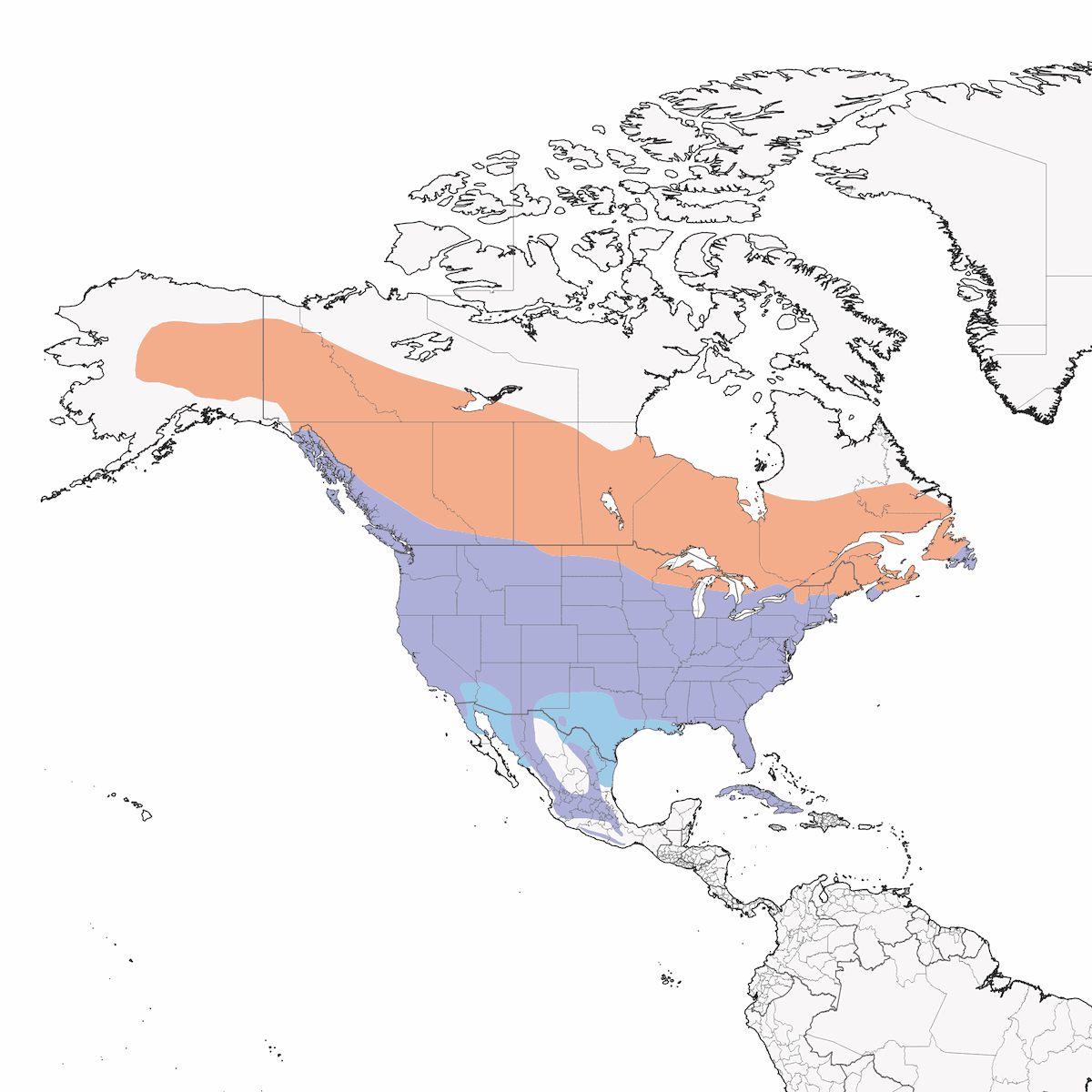 Northern Flicker, Distribution 1