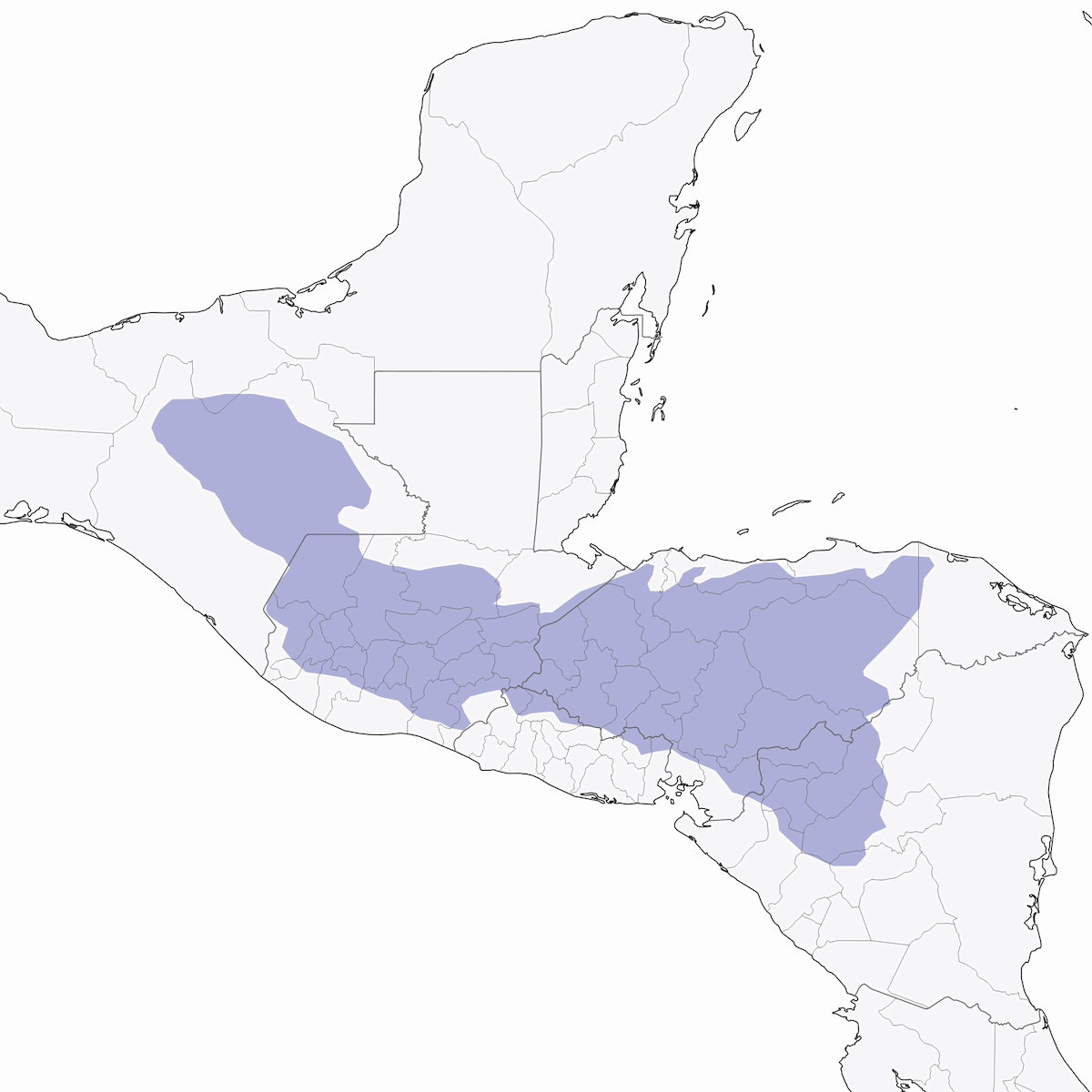 Guatemalaflicker, Verbreitung 1