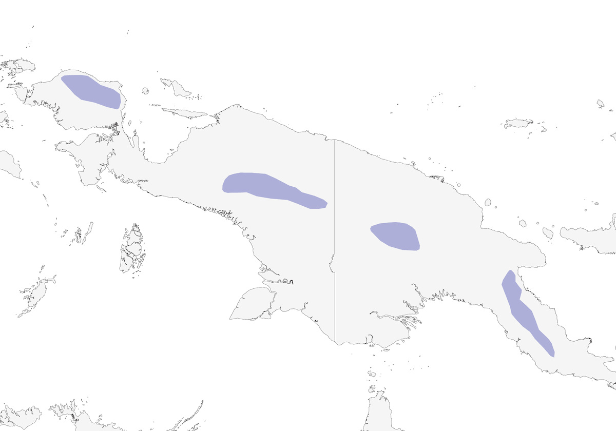 Papuan Logrunner, Distribution 1