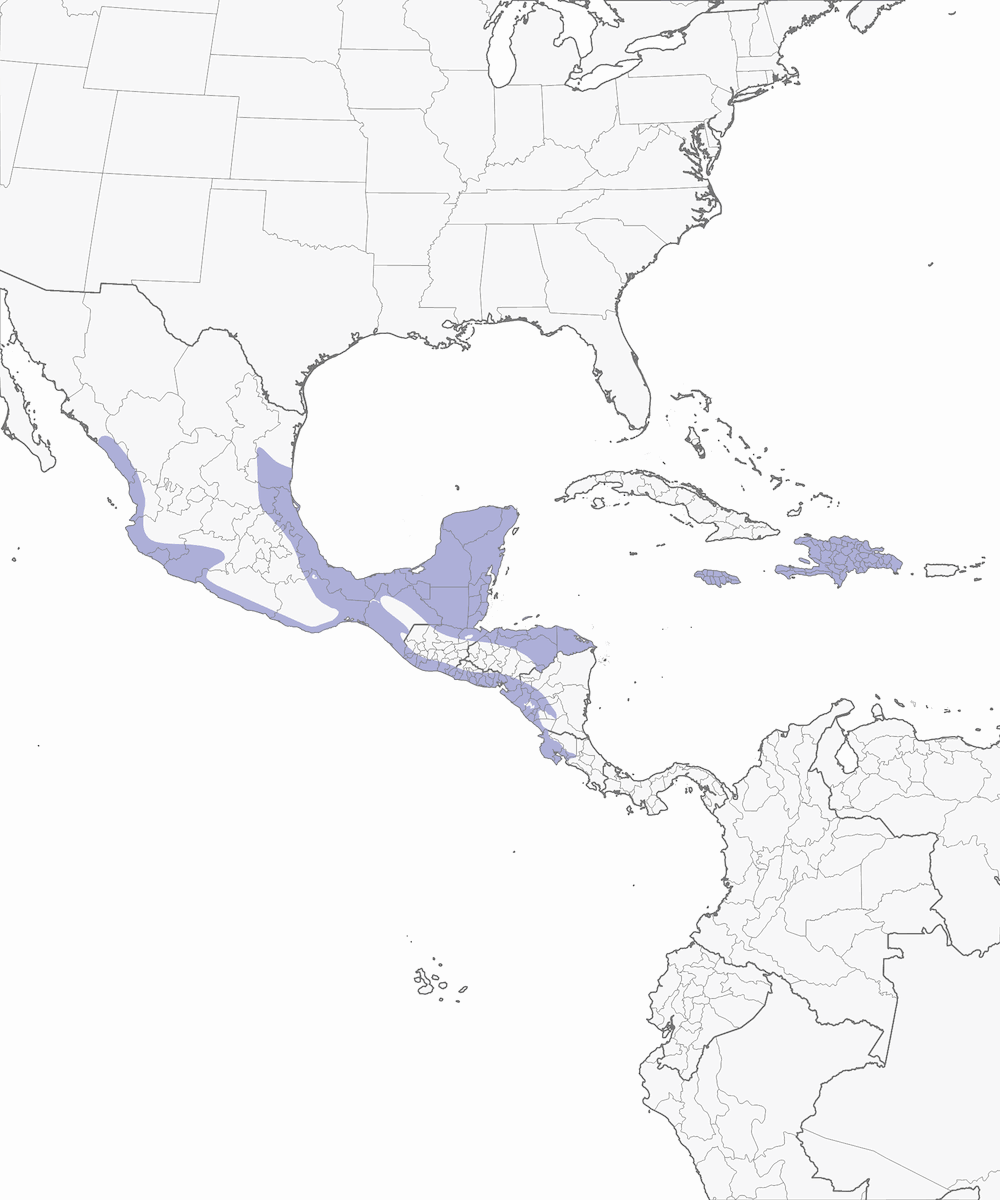 Northern Potoo, Distribution 1