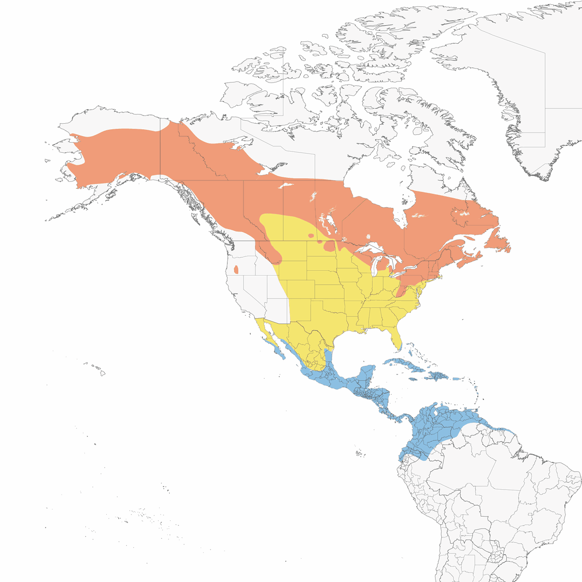 Paruline acquatica settentrionale, Distribuzione 1