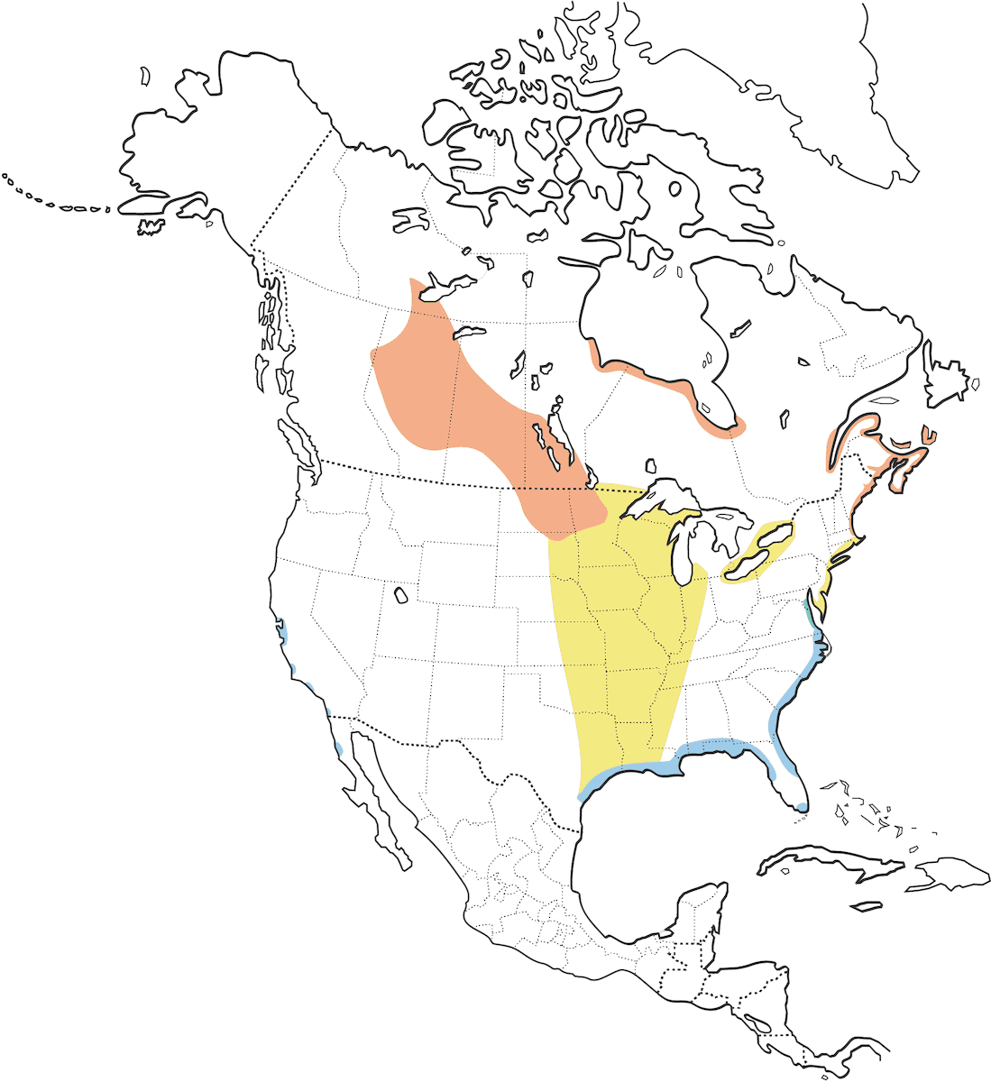 Nelson's Sparrow, Distribution 1