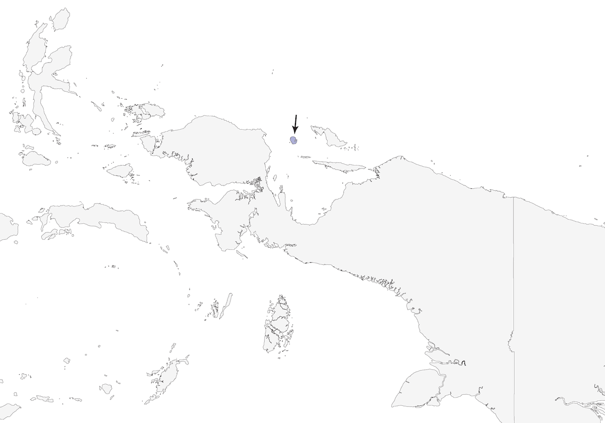 Martin pescatore del paradiso di Numfor, Distribuzione 1