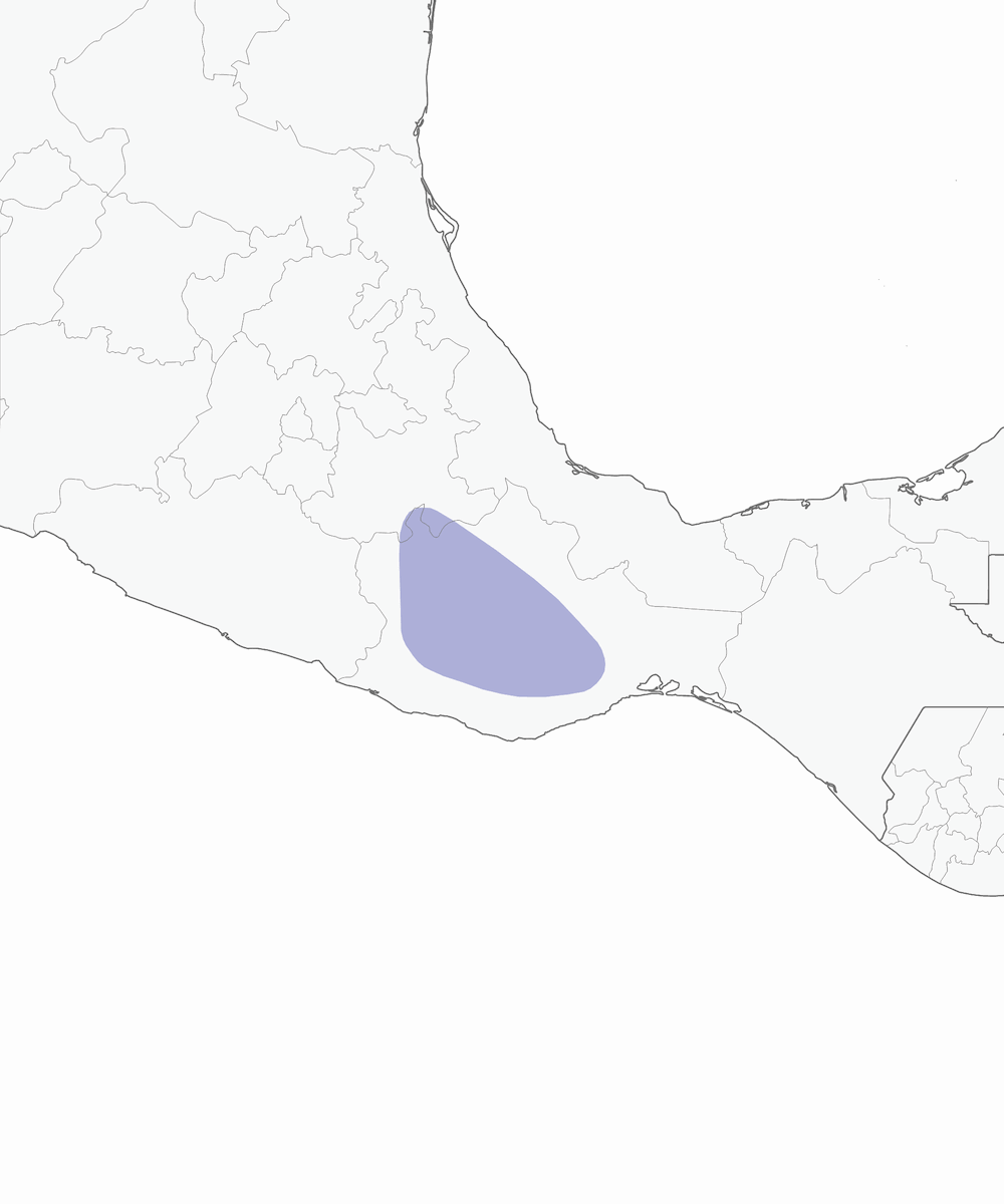 Bruant d'Oaxaca, Distribution 1