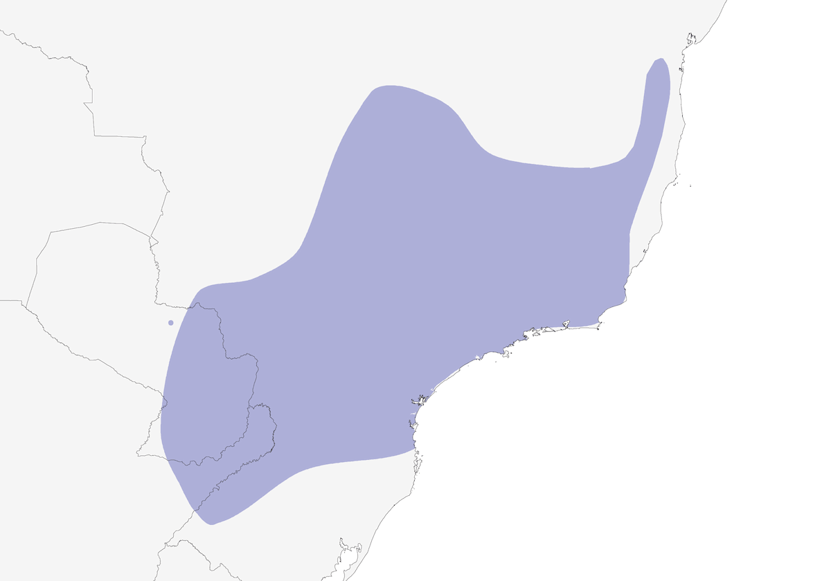 Hojarasquero Pechiocre, Distribución 1