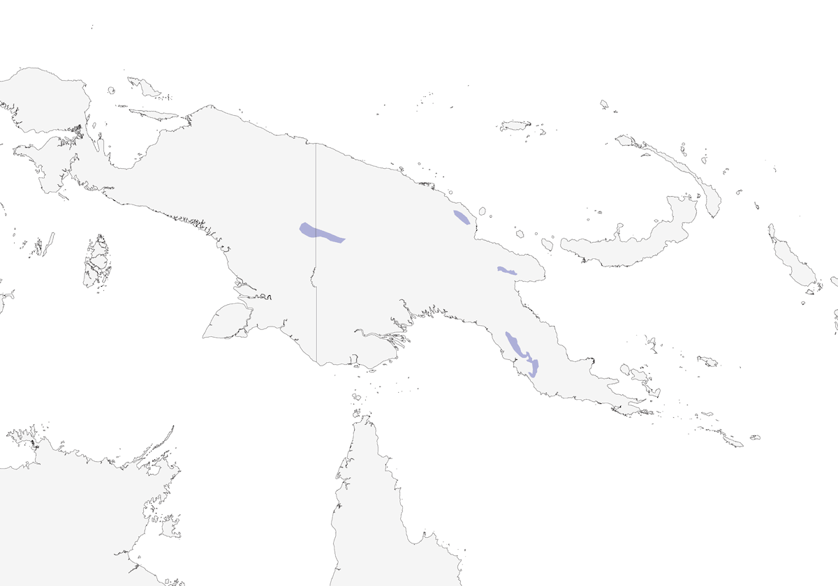 Beccabacche oscuro, Distribuzione 1