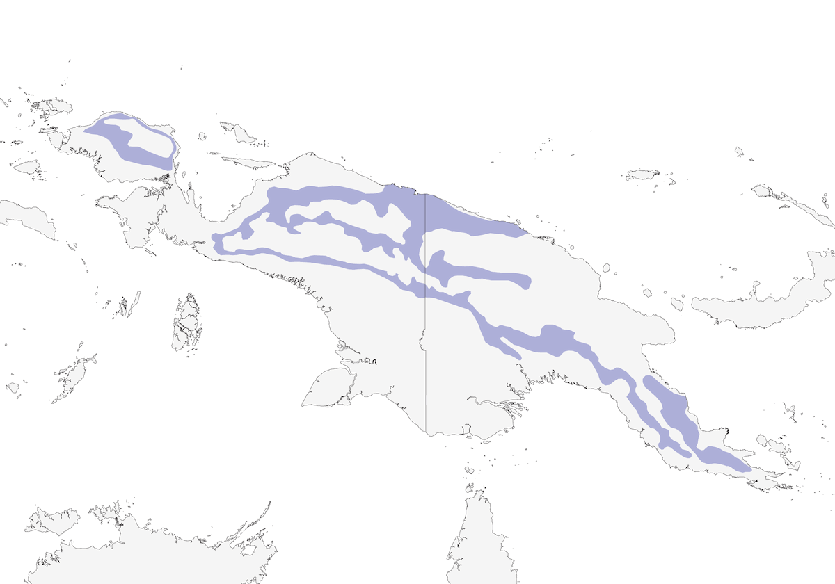 Obscure Honeyeater, Distribution 1