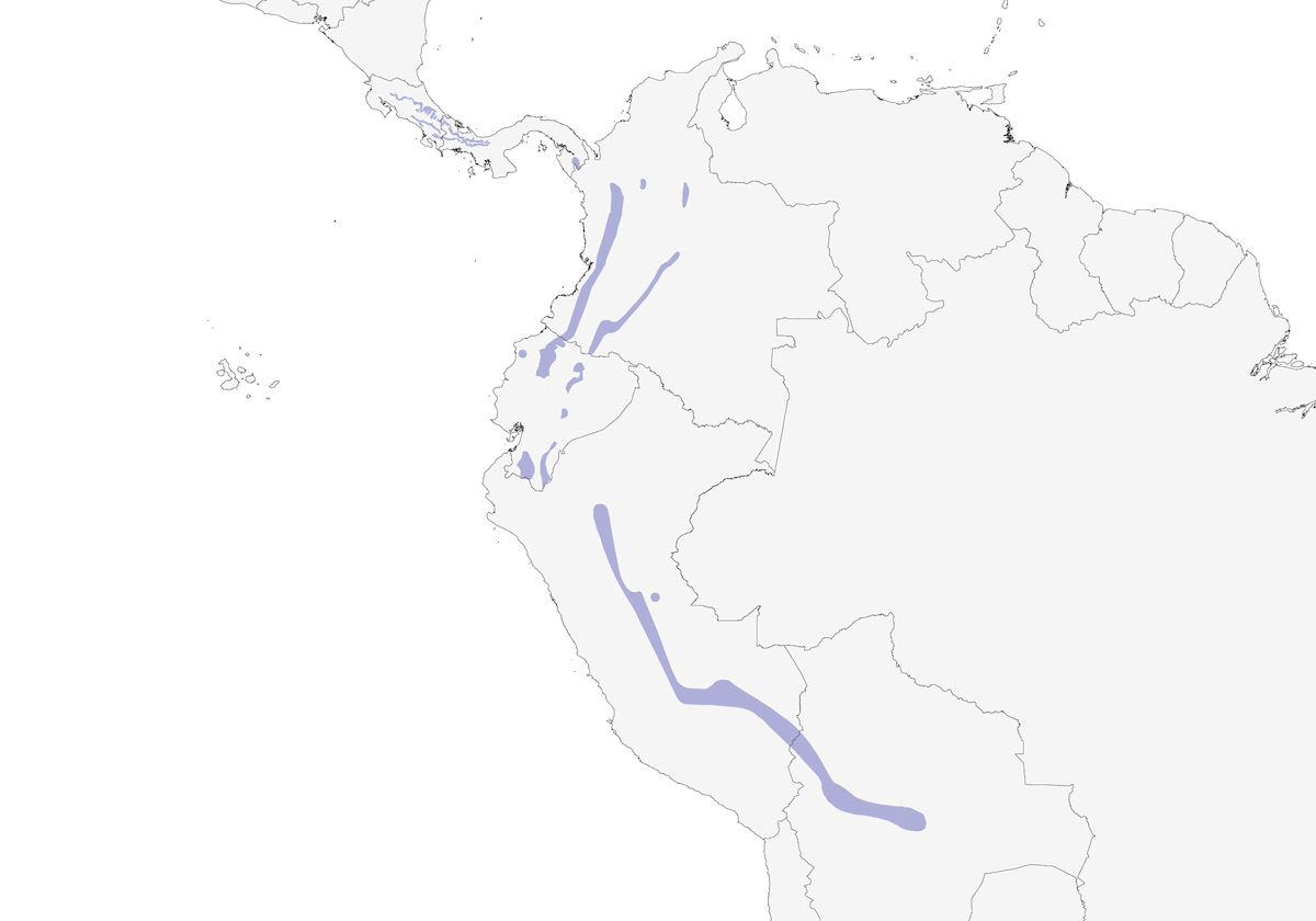 Tororoi Pechiocre, Distribución 1