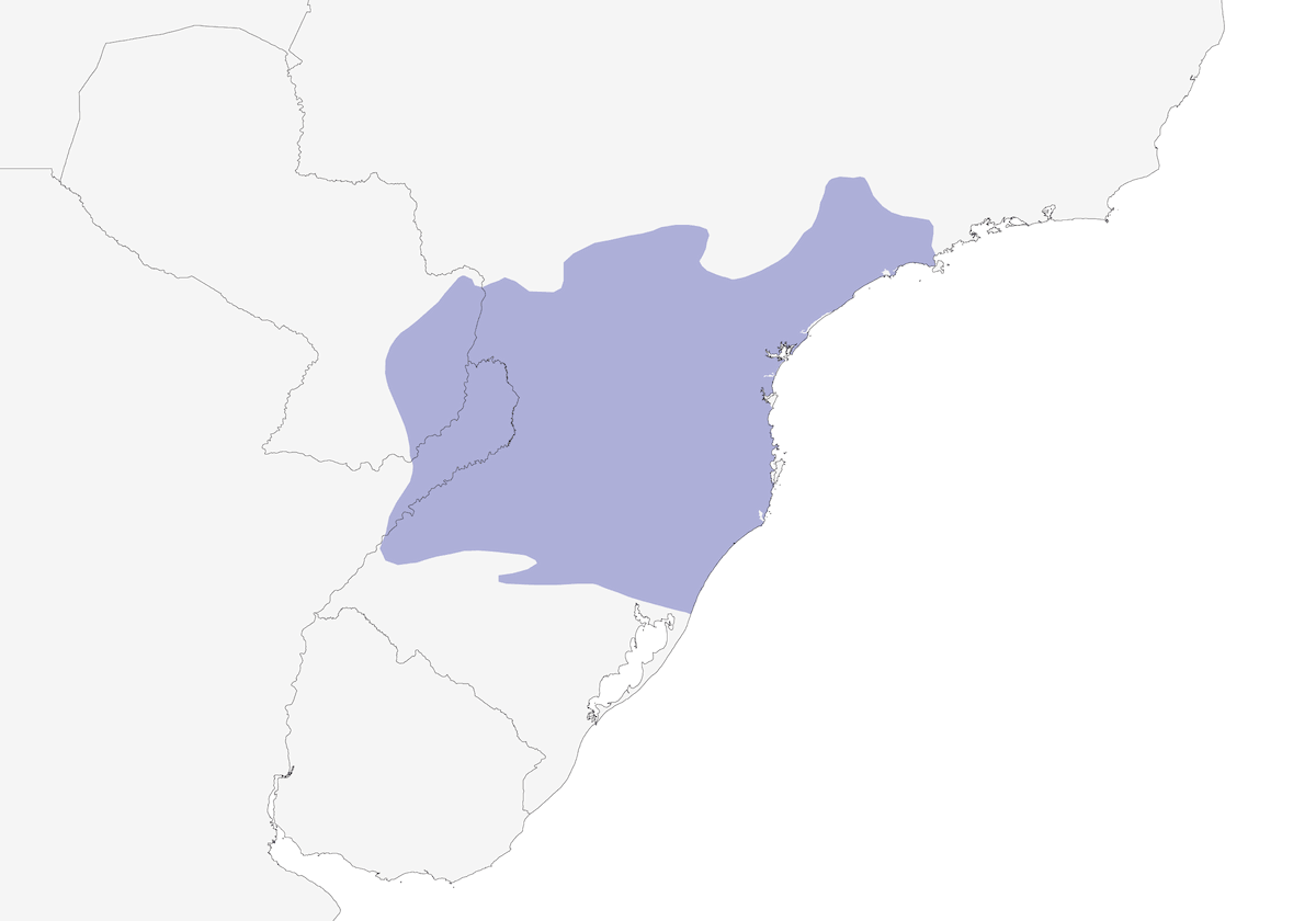 Ochre-collared Piculet, Distribution 1