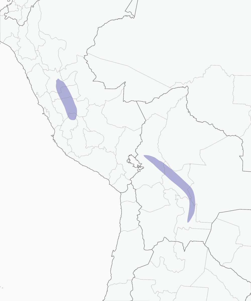 Piculet ocelado, Distribución 1
