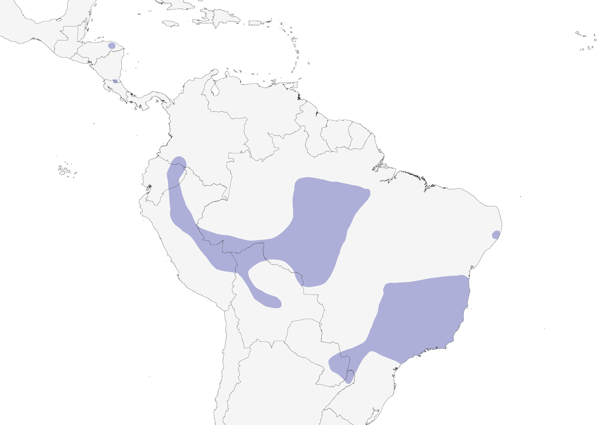 Ocellated Poorwill, Distribution 1