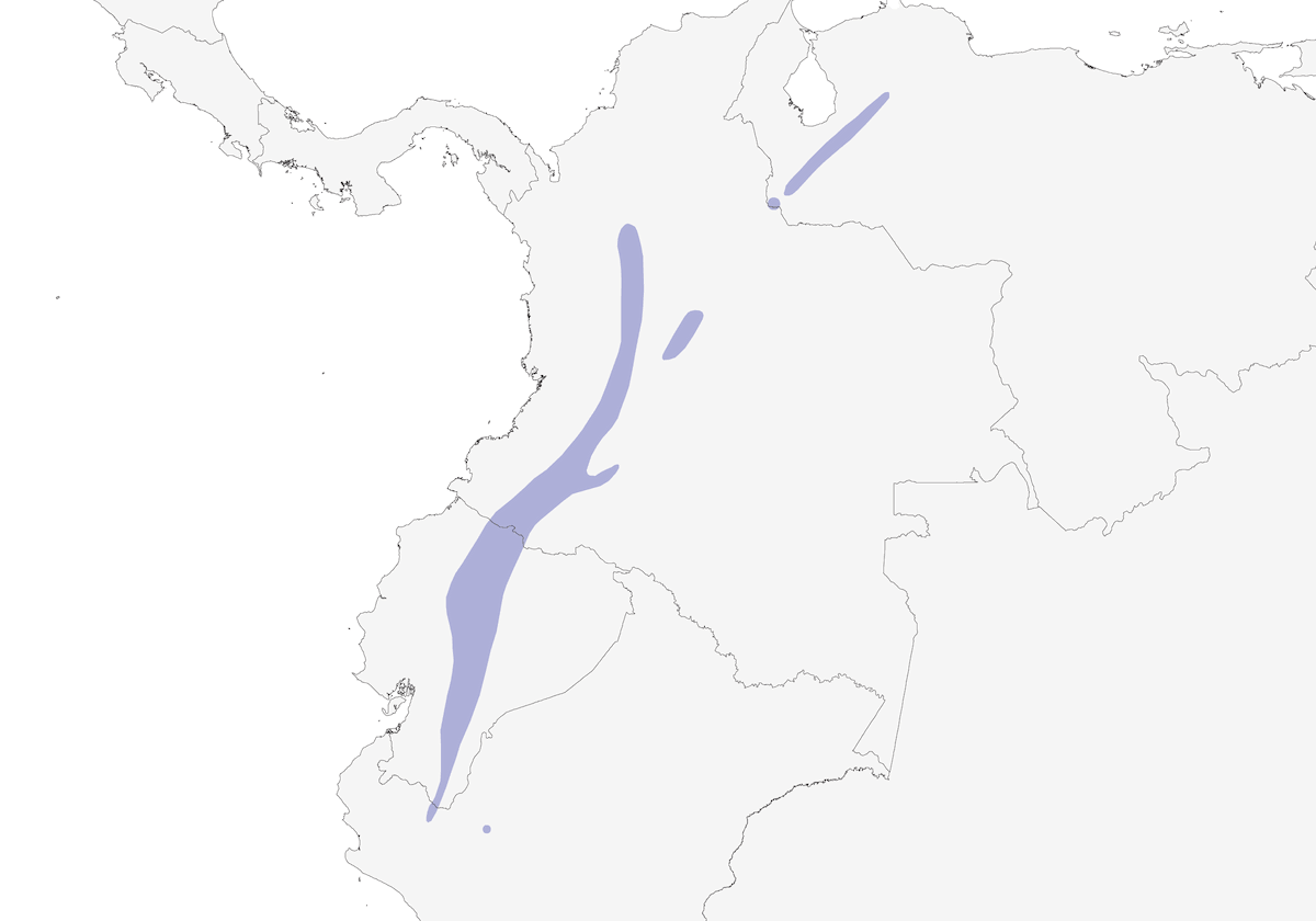 Tapaculo ocellé, Distribution 1