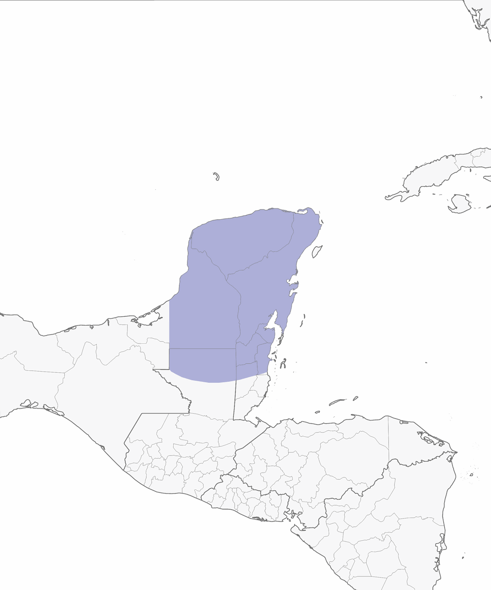 Pavo ocelado, Distribución 1