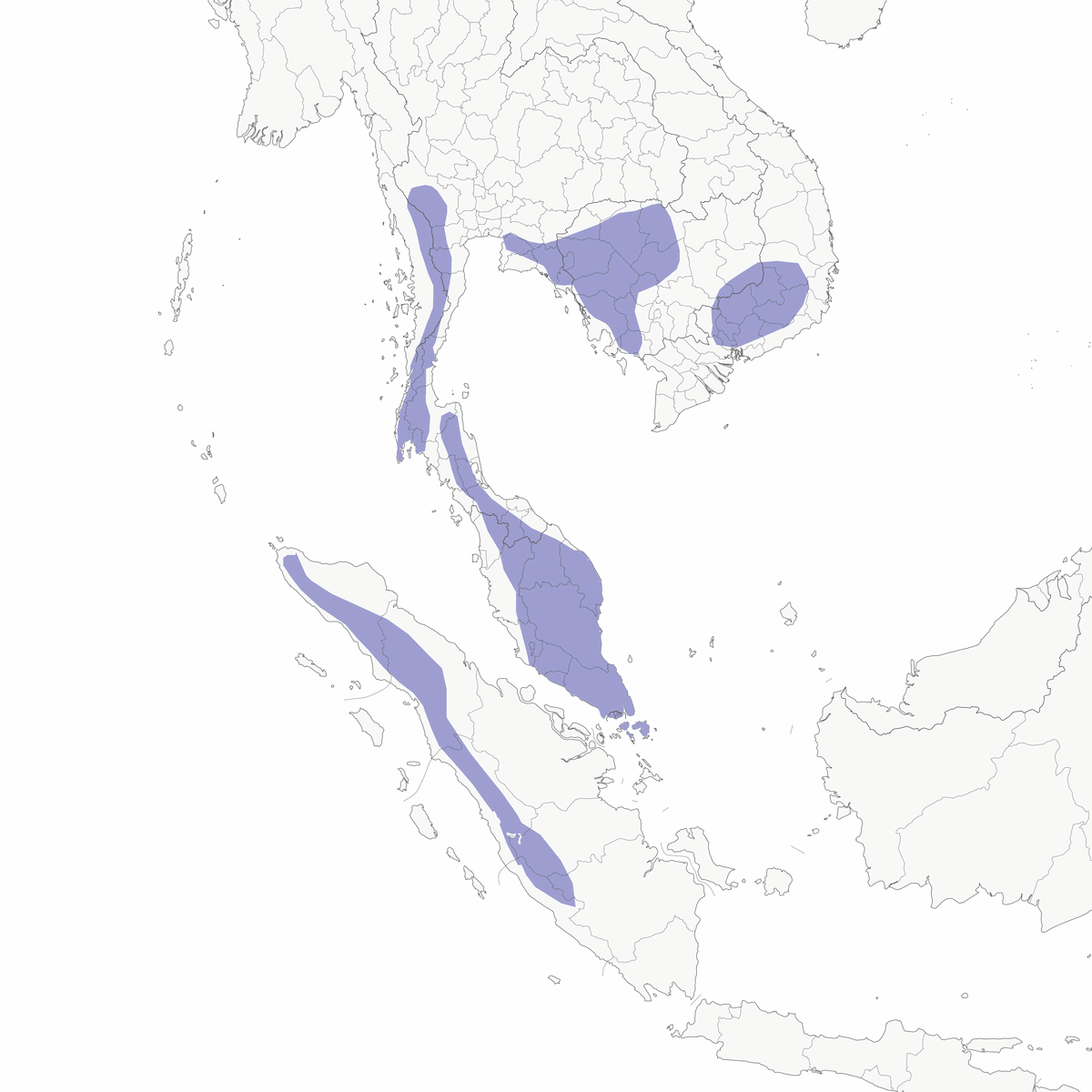 Bulbul ocré, Distribution 1