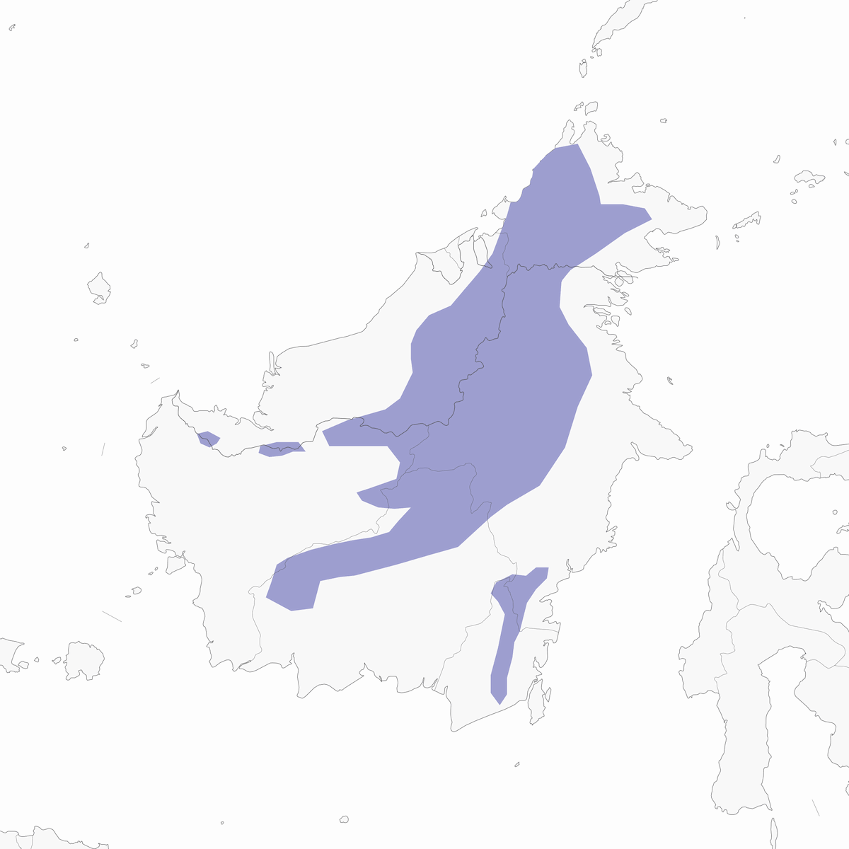 Bulbul de Penan, Distribución 1