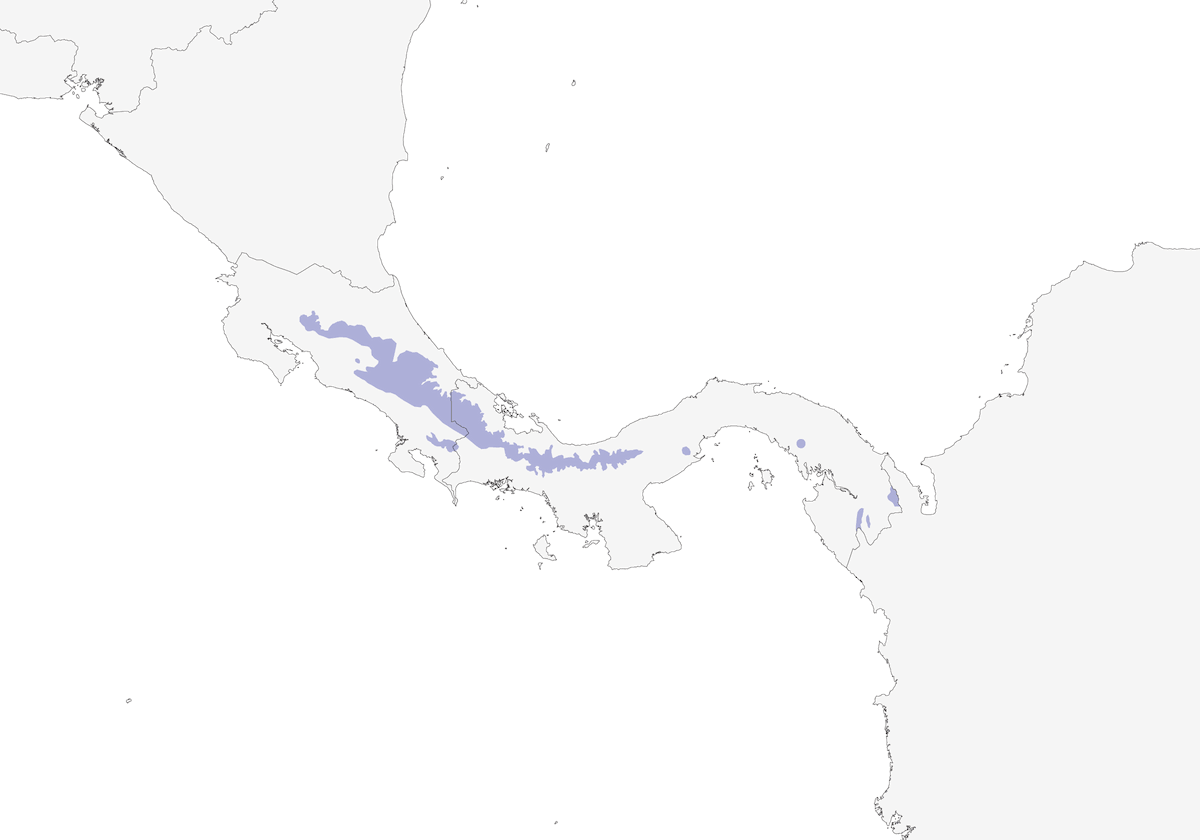 Ochraceous Wren, Distribution 1