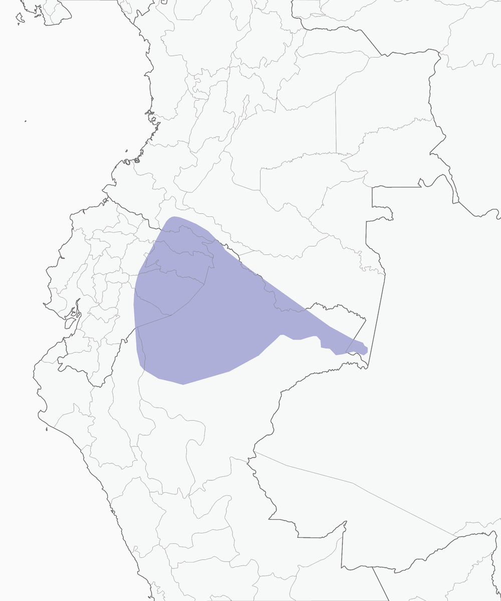 Tororoi Ventriocre, Distribución 1