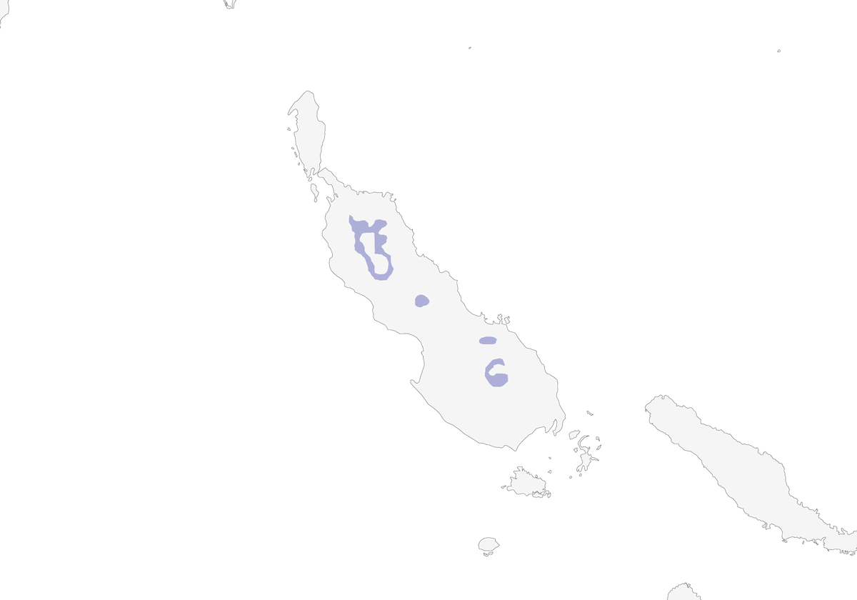 Odedi, Distribution 1