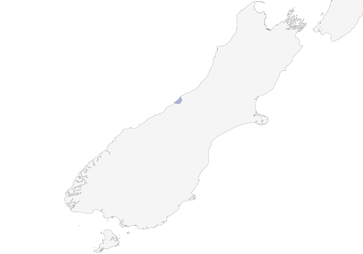 Kiwi bruno di Okarito, Distribuzione 1