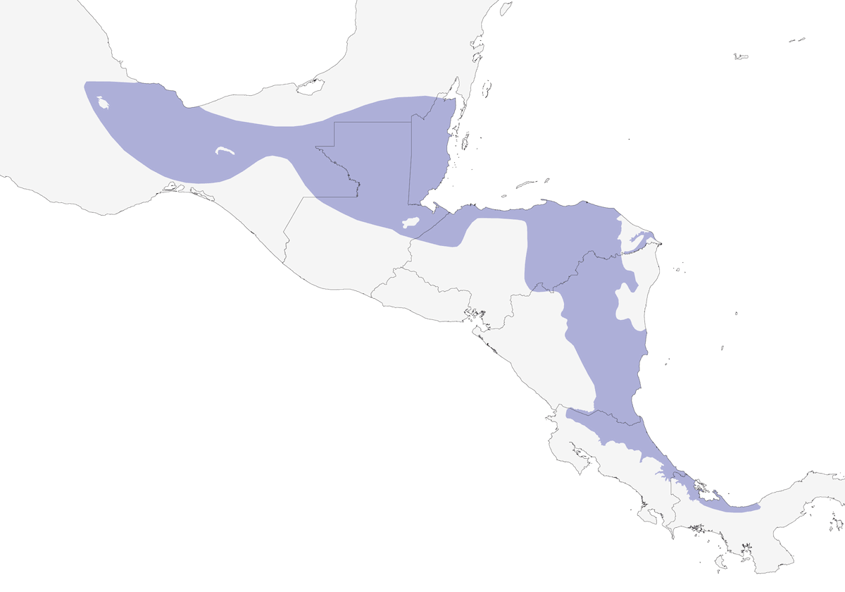 Eufonia dal dorso olivaceo, Distribuzione 1