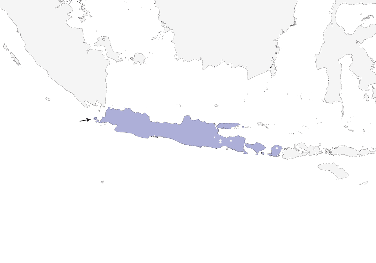Olive-backed Tailorbird, Distribution 1