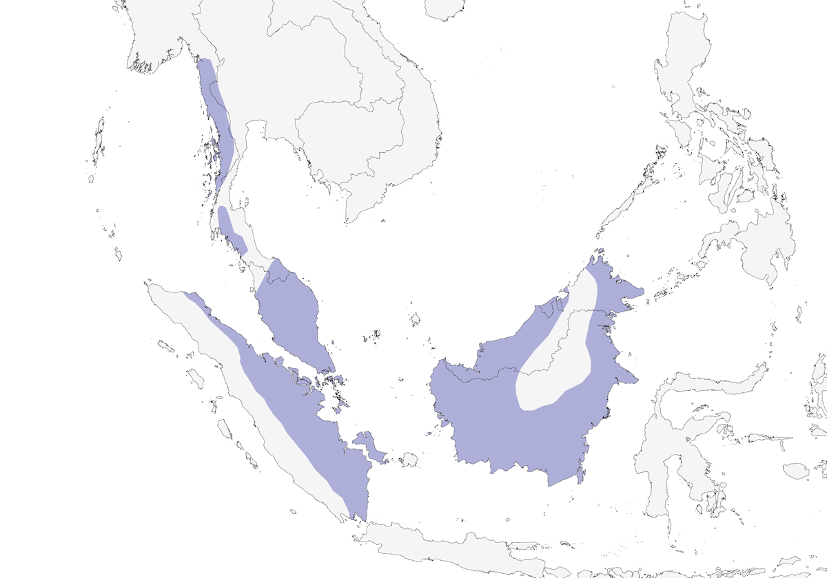 Picchio dal dorso olivaceo, Distribuzione 1