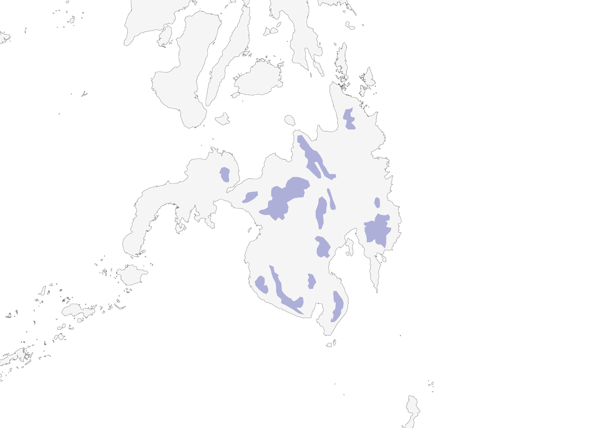 Beccafiori dal cappuccio olivaceo, Distribuzione 1