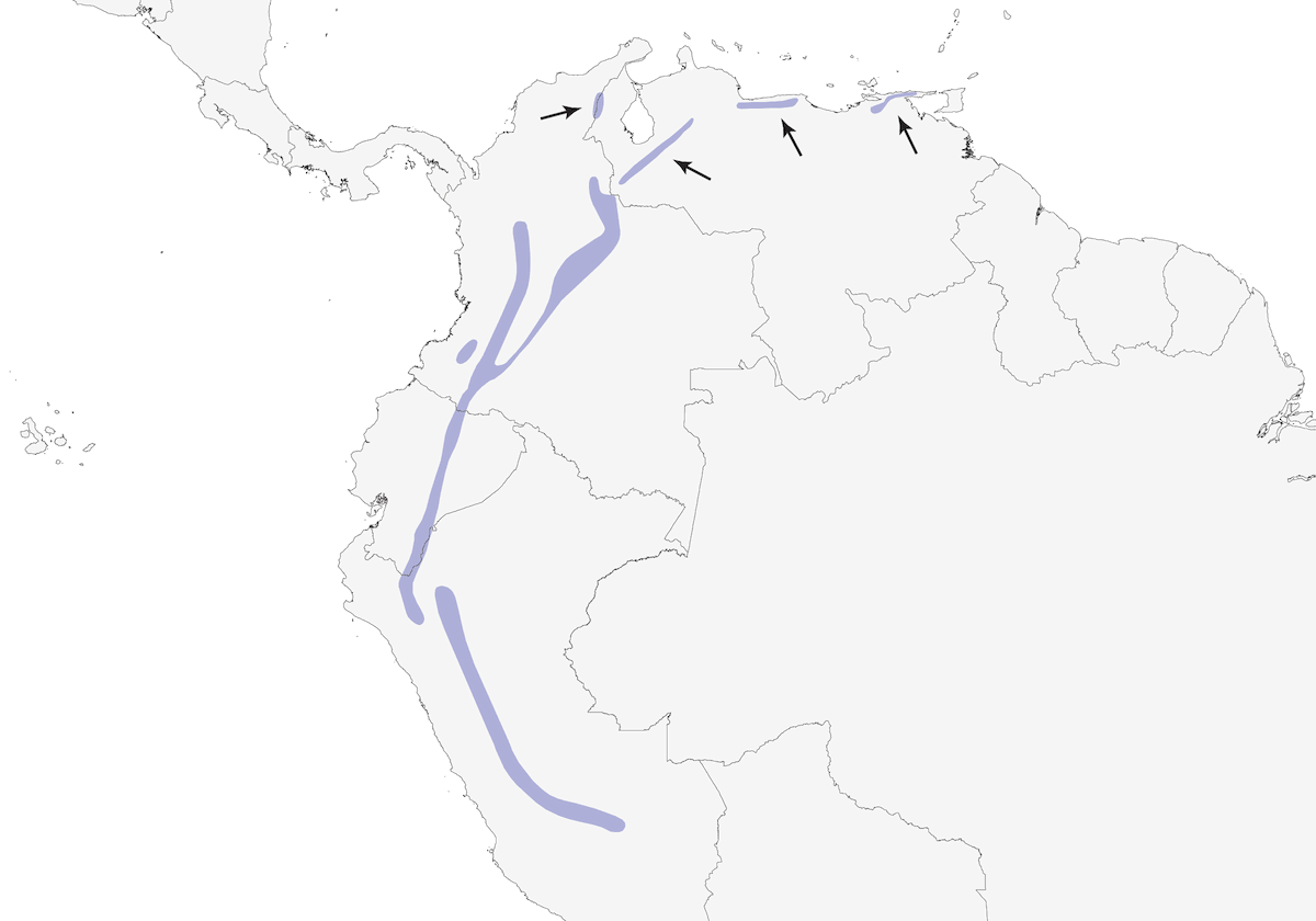 Hémispingue à bec rouge, Distribution 1