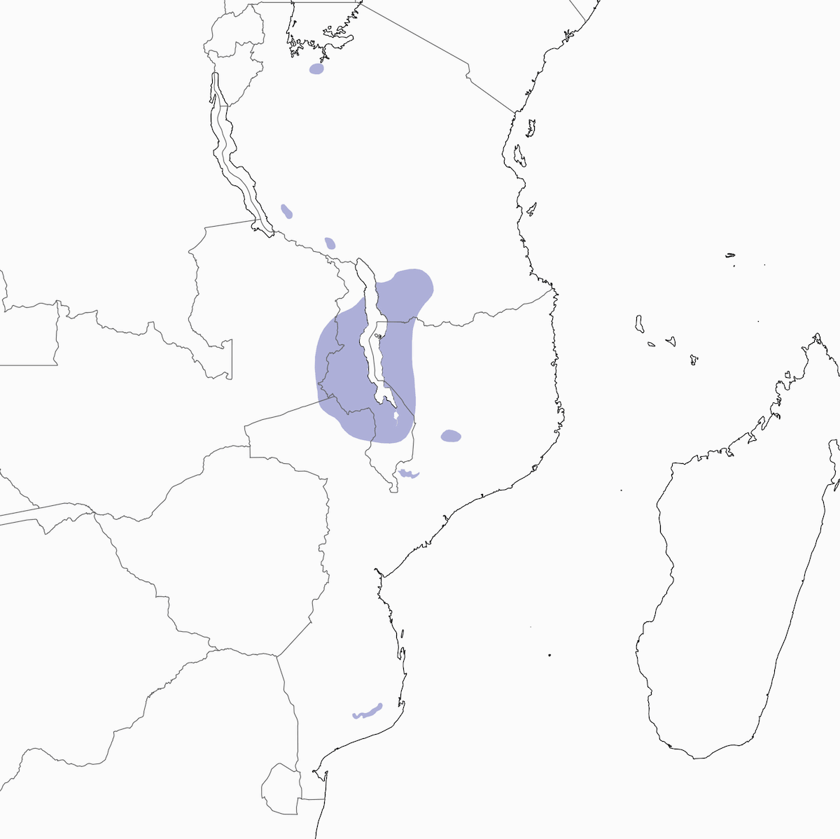 Tessitore dalla testa olivacea, Distribuzione 1