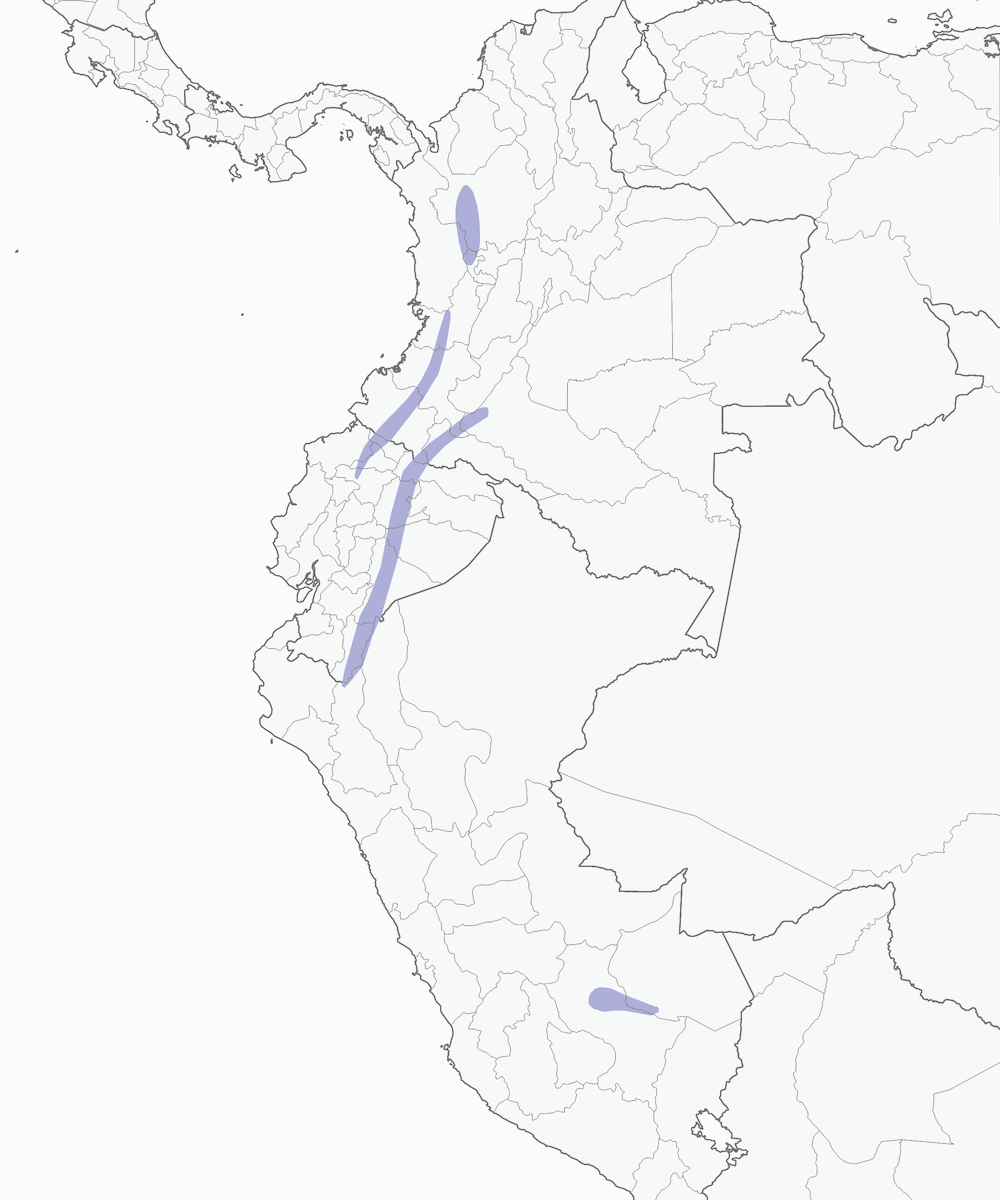 Pinzón Oliváceo, Distribución 1