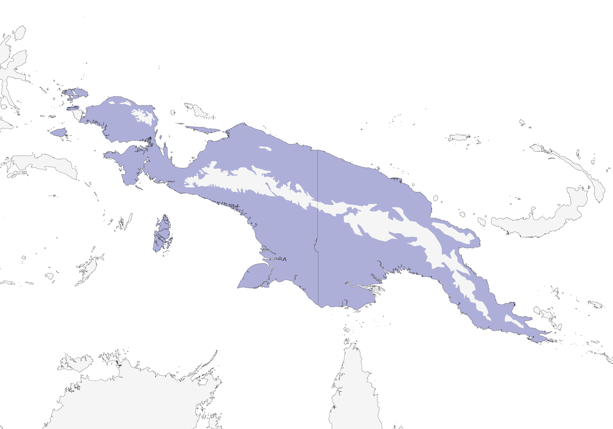 Olive Flyrobin, Distribution 1
