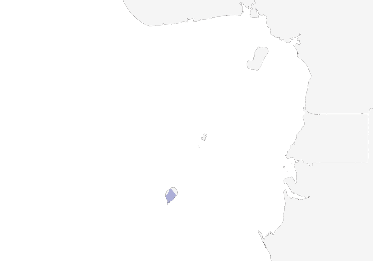 Ibis di São Tomé, Distribuzione 1