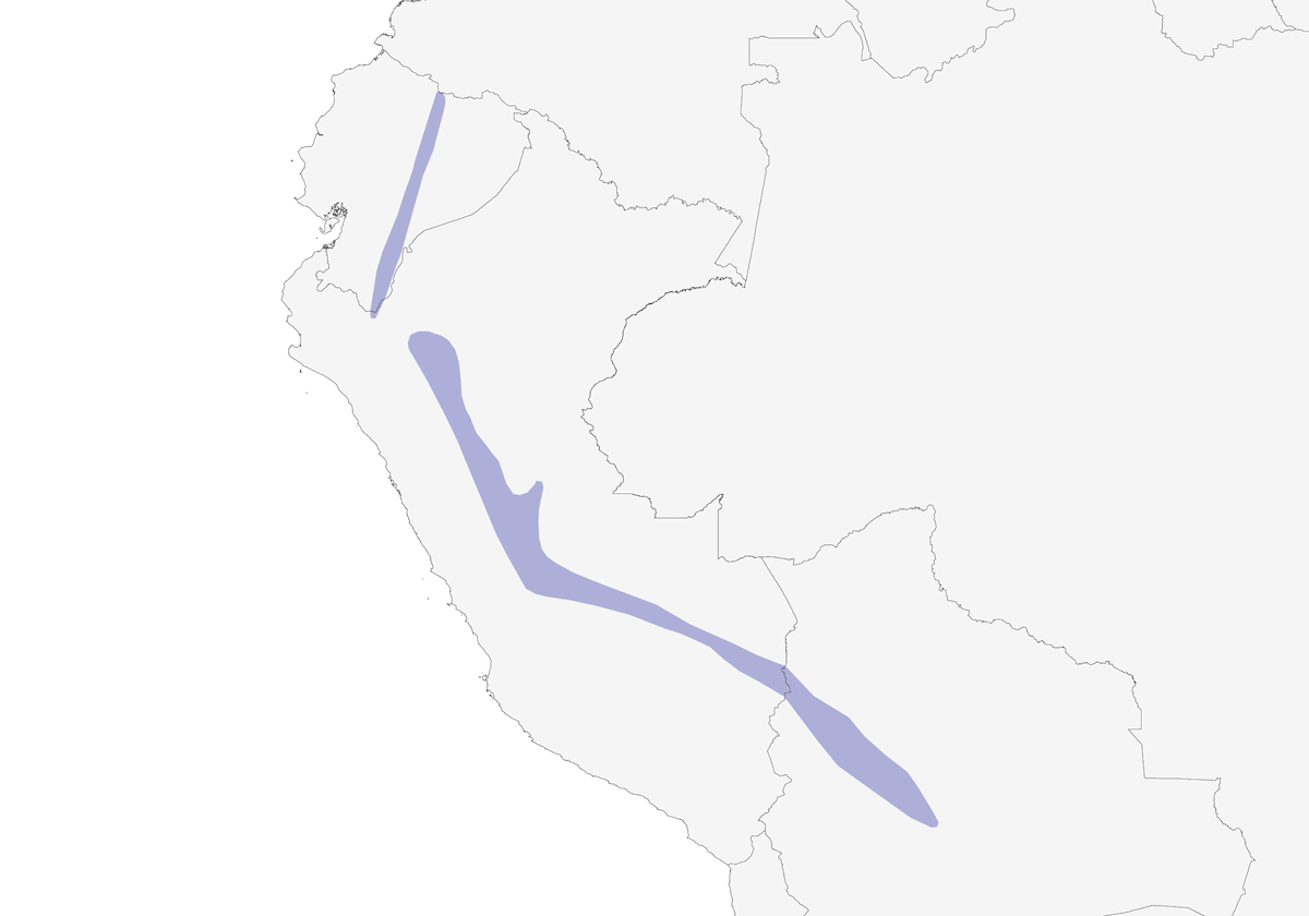 Jilguero Oliváceo, Distribución 1