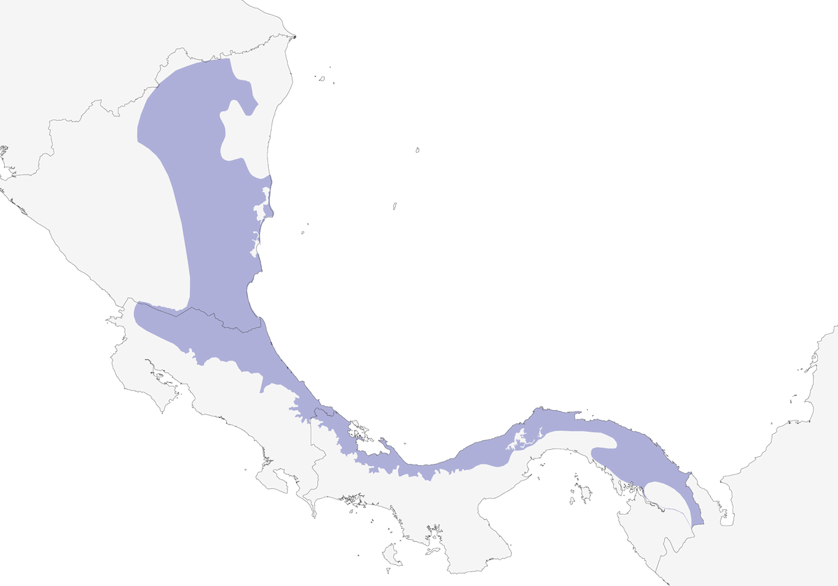 Carmiol's Tanager, Distribution 1