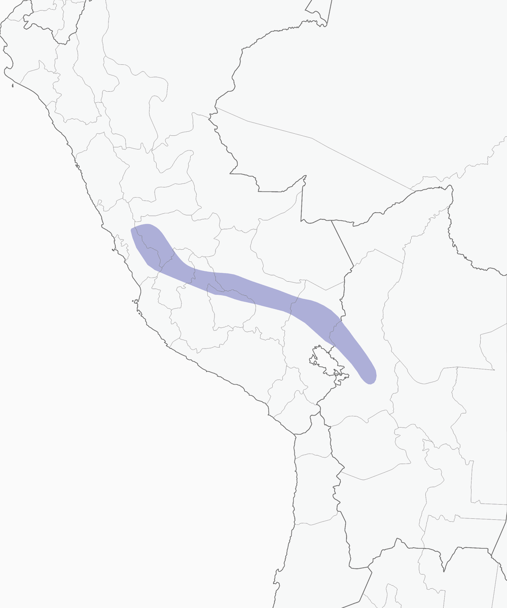 Acantiza olivacea, Distribuzione 1