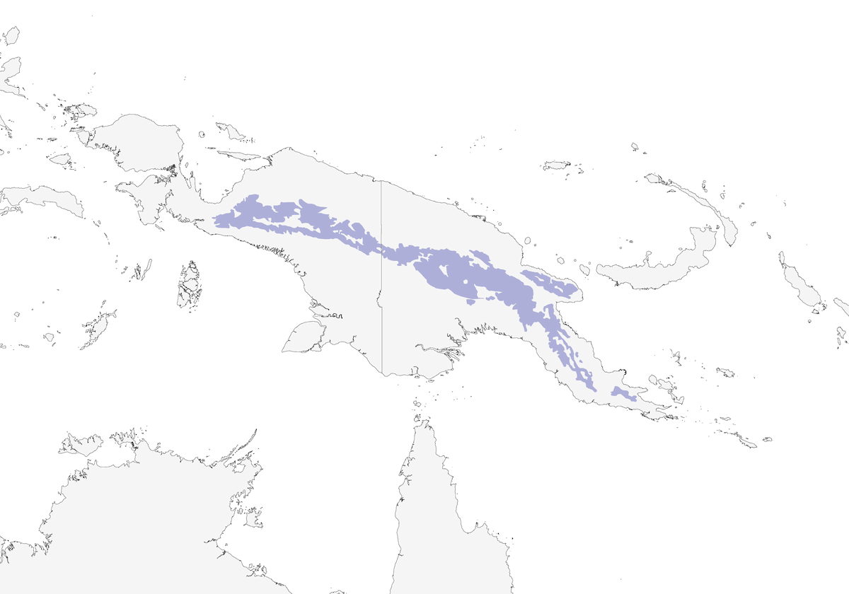 Yellow-streaked Honeyeater, Distribution 1