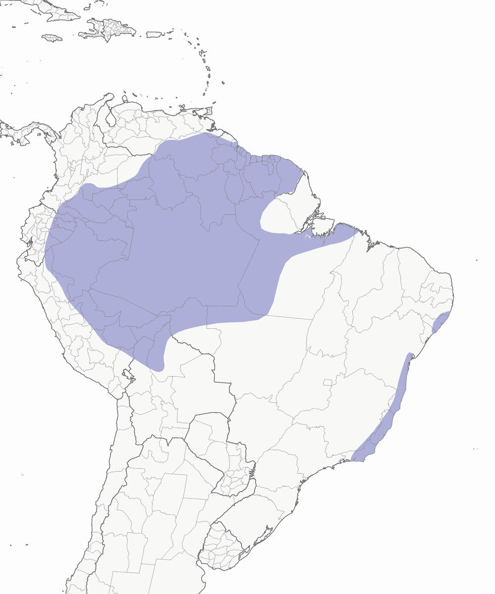 Tangara groppone opale, Distribuzione 1