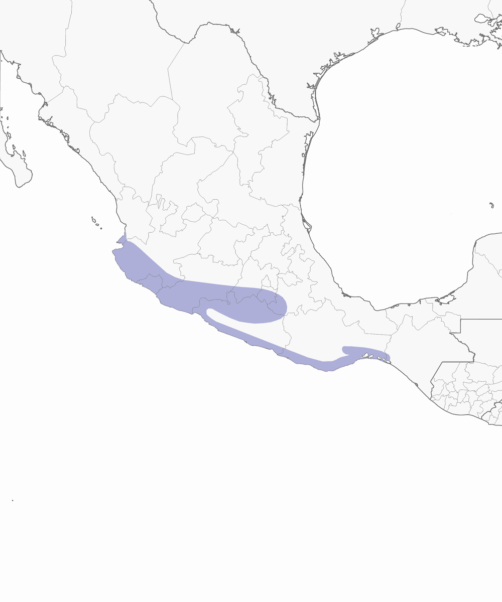 Bruant de Cabanis, Distribution 1