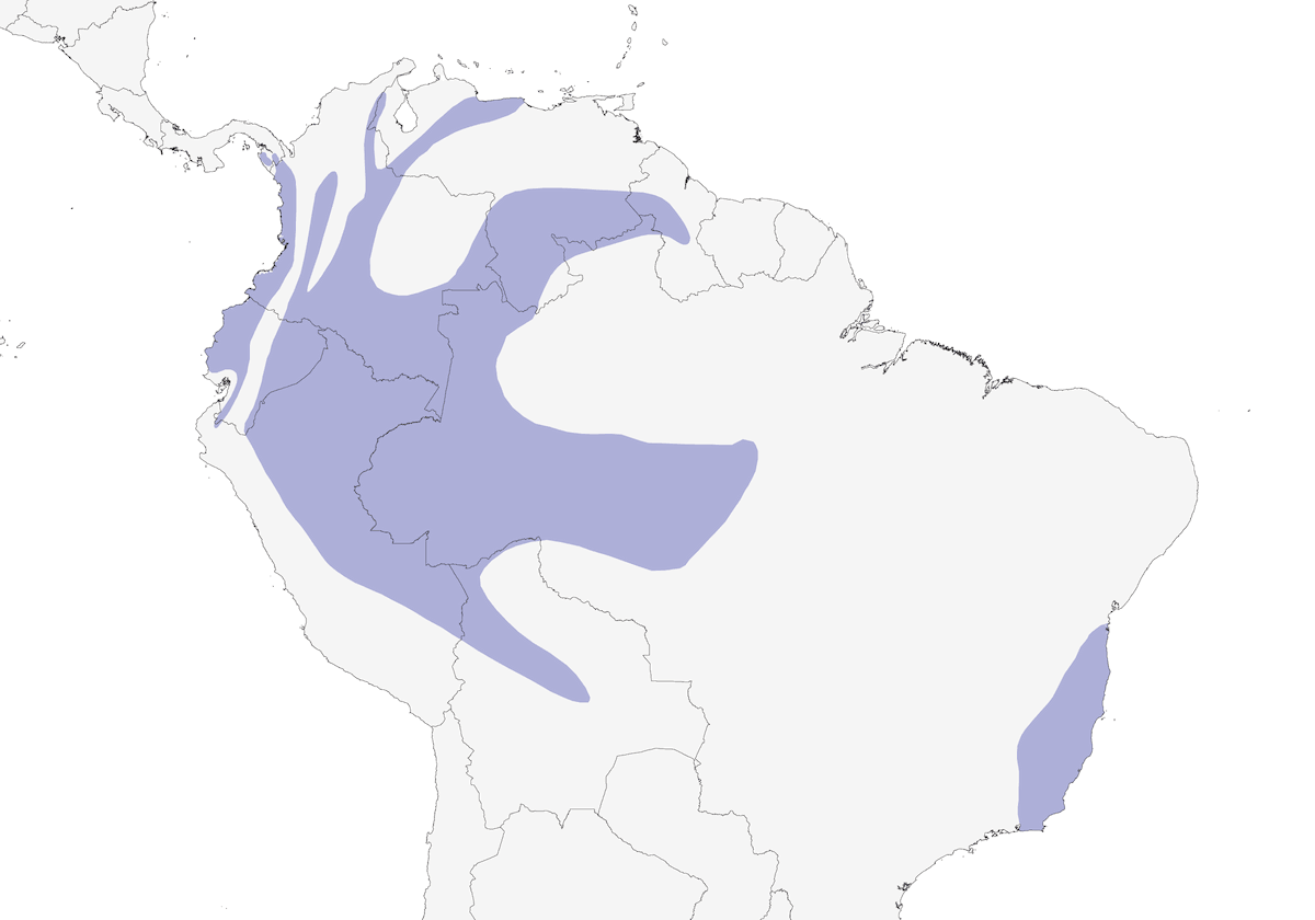 Orange-bellied Euphonia, Distribution 1