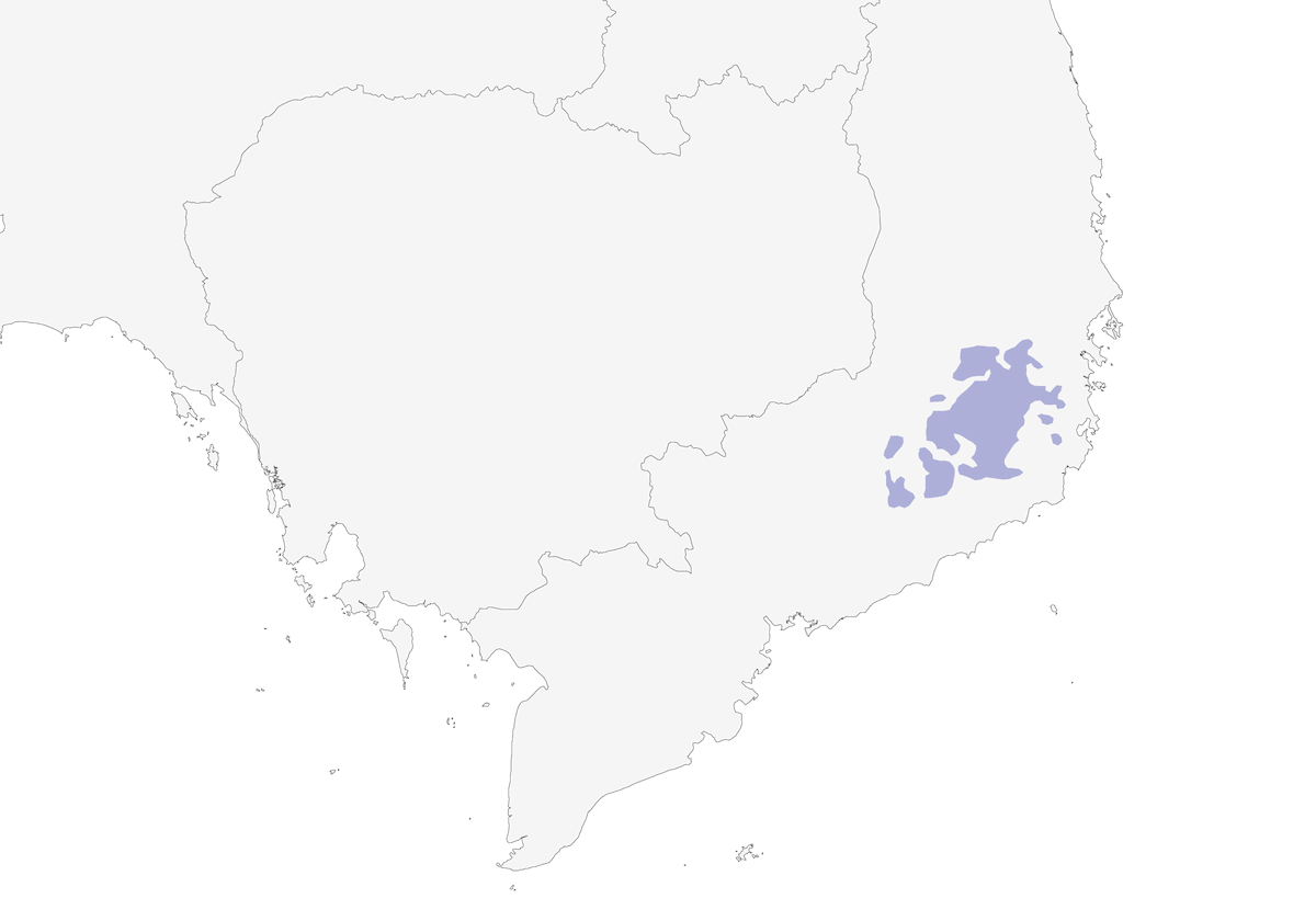 Timalí Pechinaranja, Distribución 1