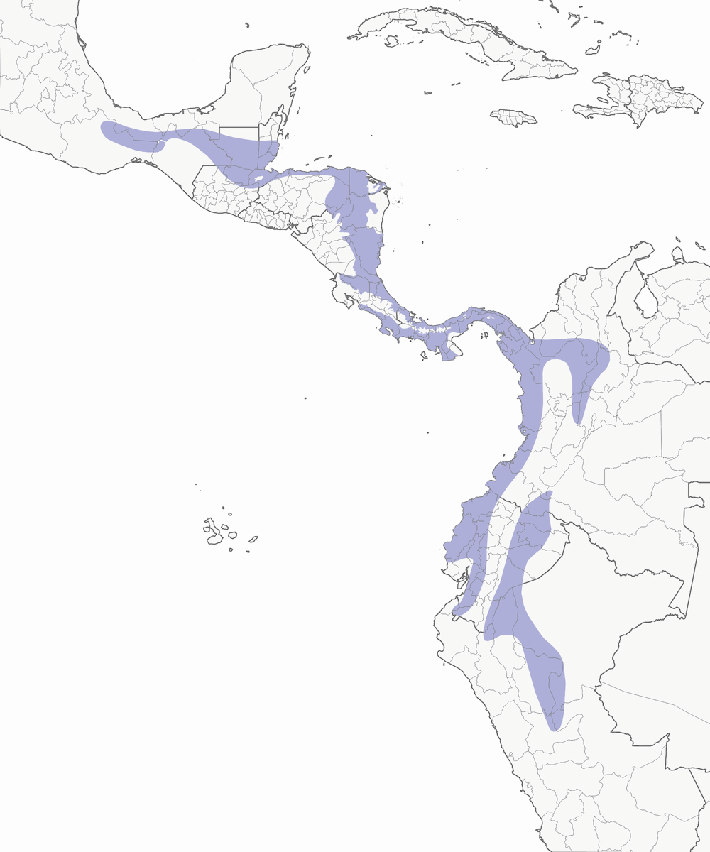 Orange-billed Sparrow, Distribution 1