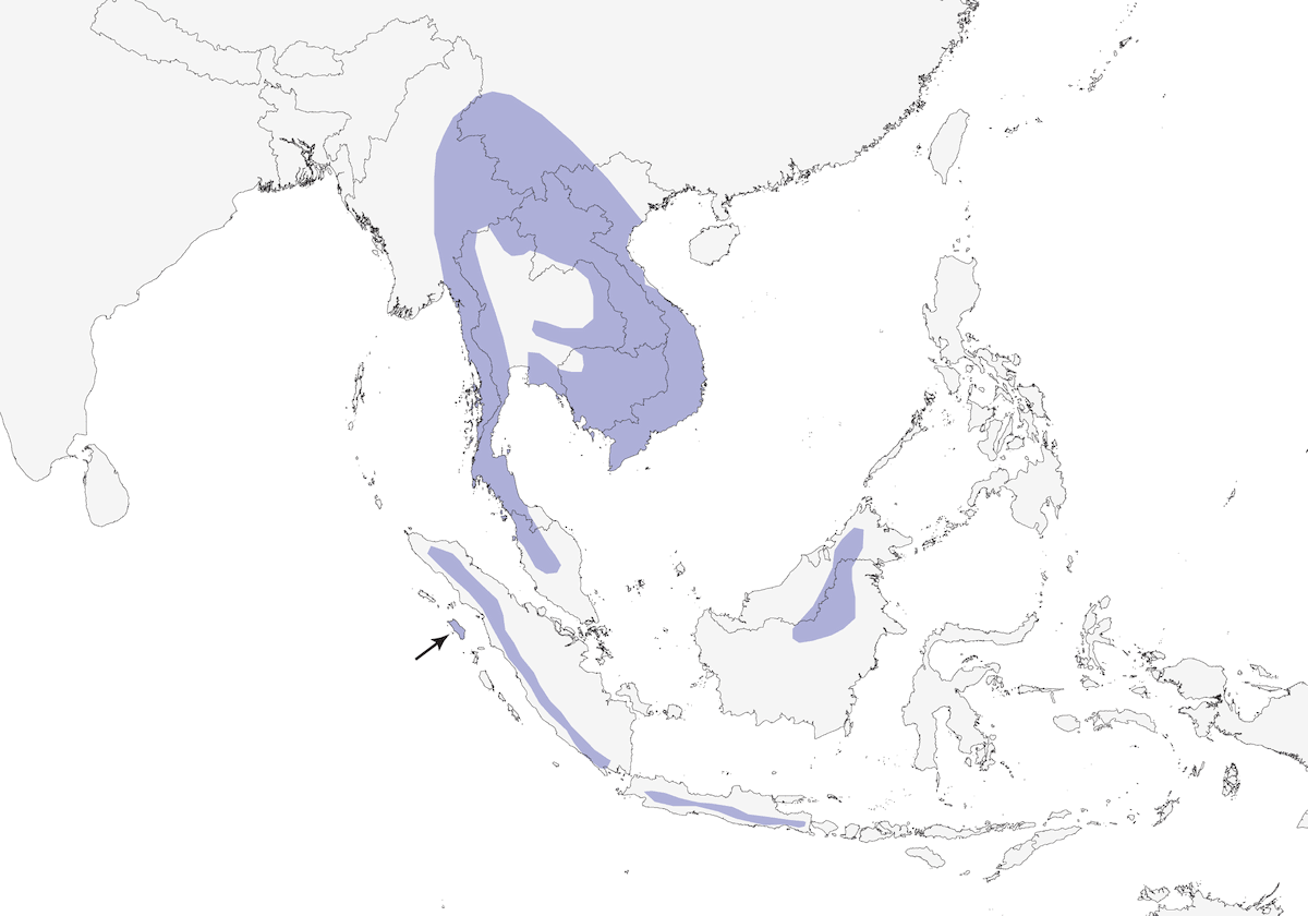 Trogone pettoarancio, Distribuzione 1